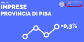 Cresce dello 0,3% il numero delle imprese della provincia di Pisa