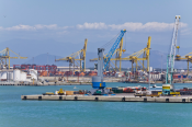 Container nel porto di livorno