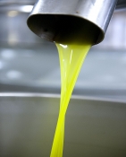 olio extra vergine di oliva pisa