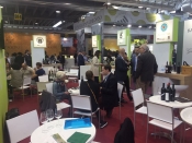 Vinitaly2017