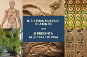 Webinar Risorse Turistiche Terre di Pisa - il sistema museale
