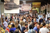 Terre di Pisa Foo and wine Festival 2018