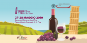 Terre di Pisa - Terre del Vino 2019