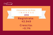 Quasi ferma la crescita imprenditoriale in provincia di Pisa nel 2018