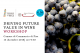 Driving future value in wine: workshop